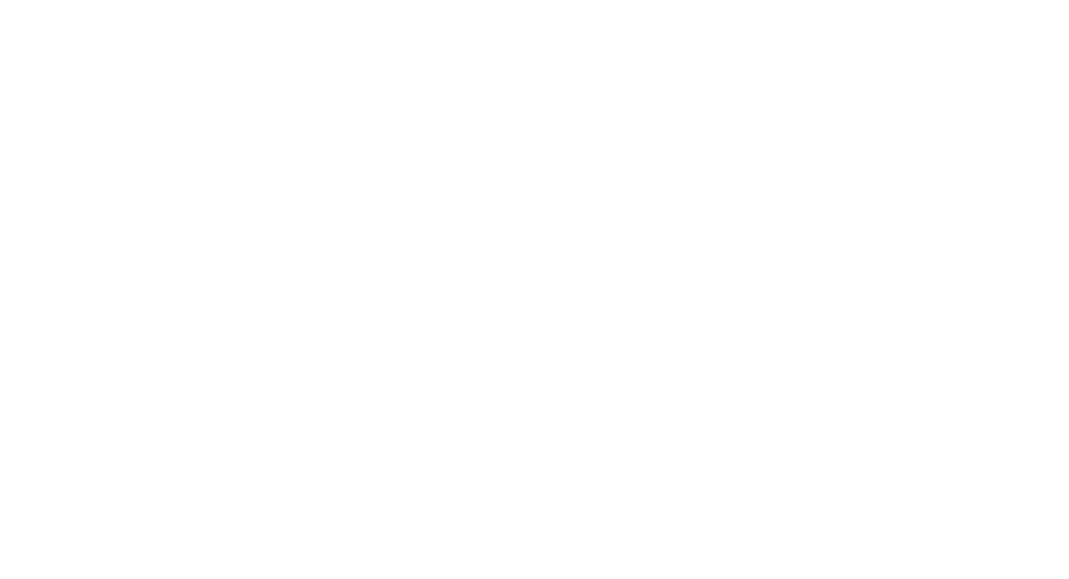 システムX